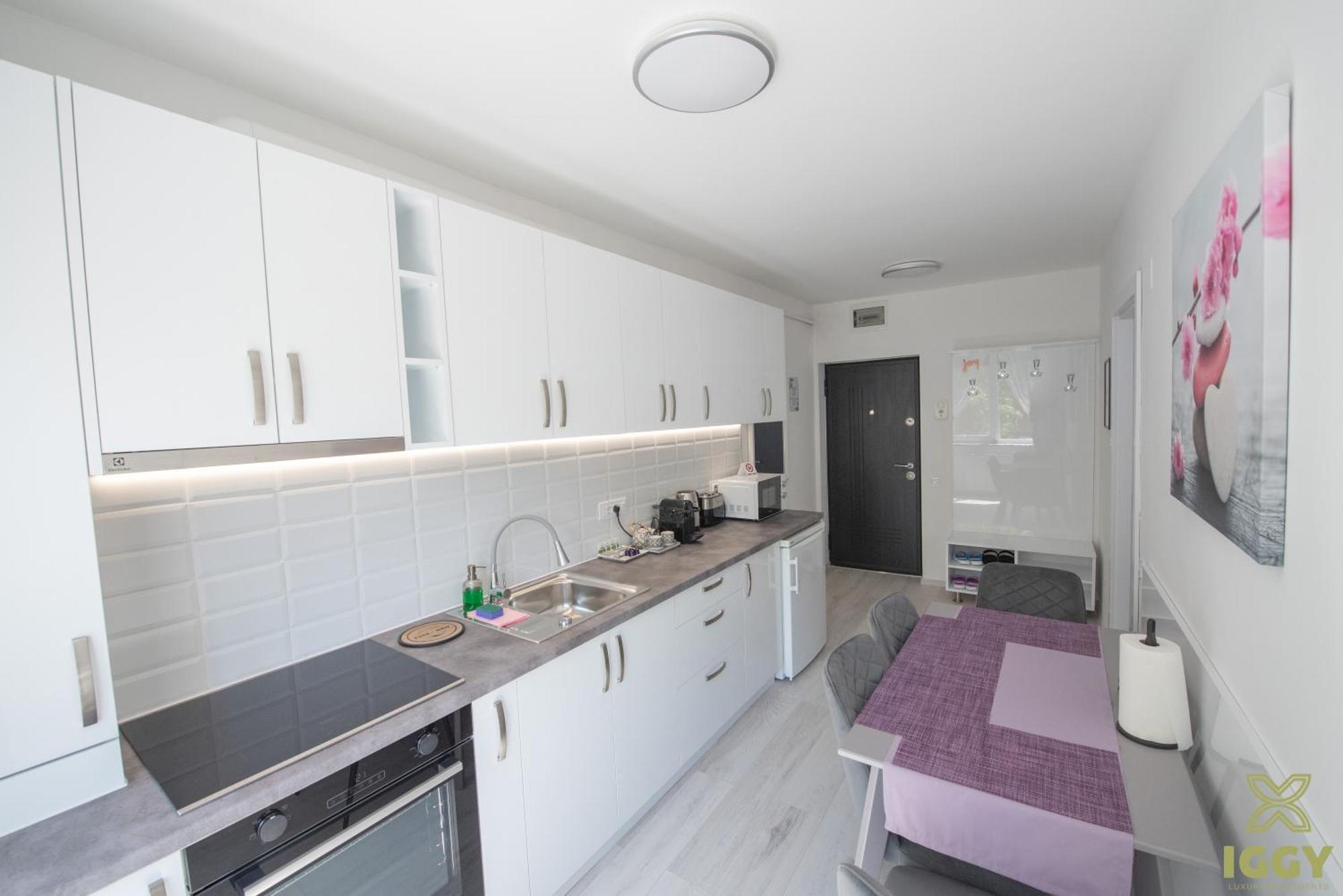 Iggy Premium Apartment Hunedoara Exteriör bild